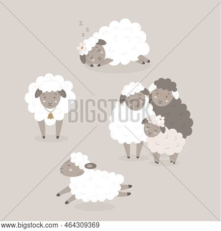 Vector Set Of Cute Cartoon Sheeps Standing, Jumping And Lying Lambs Icons With Bell, Flower, Glasses
