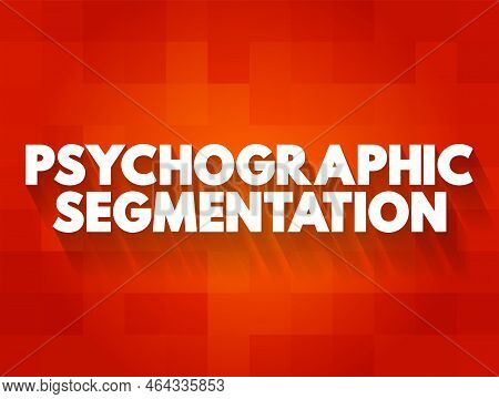 Psychographic Segmentation - Marketing Research Which Divides Consumers Into Sub-groups Based On Sha