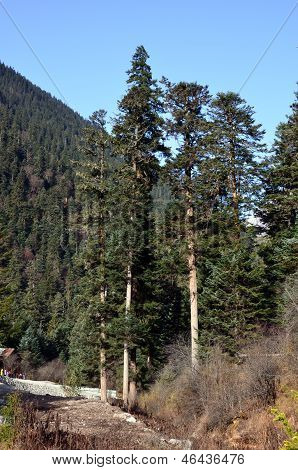 Barevný podzim Jiuzhaigou