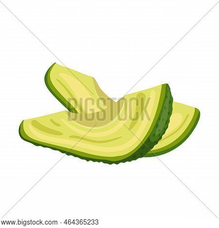 Avocado Green Cartoon. Food Fresh, Vegetable Cut, Organic Exotic, Ripe Half Ingredient, Healthy Natu