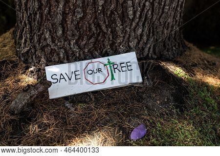 View Of Sign Attached To The Tree With Text Save Our Trees