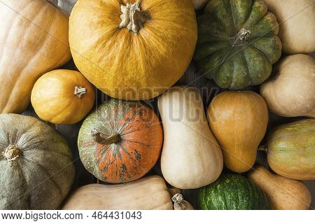 Autumn Fall Pumpkin Spice Baking And Drink Ingredients. Various Colorful Pumpkins, Nuts, Seasonal Sp