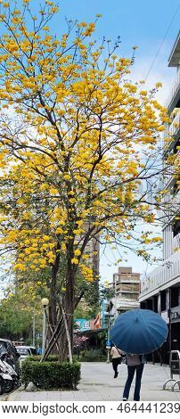 Beautiful Stree View Of Linkou District, New  Taiepi City, Taiwan