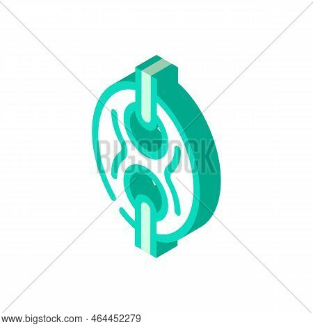 Puffed Mariner Chain Isometric Icon Vector. Puffed Mariner Chain Sign. Isolated Symbol Illustration