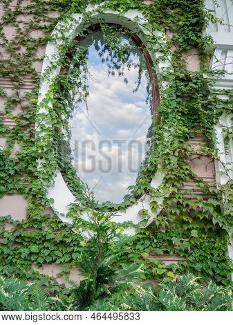 Beautiful Round Window Overgrown With Ivy. Reflection In An Old Window. Urban Environment. Old Archi