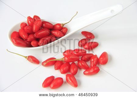 Goji bær (Lycium barbarum)