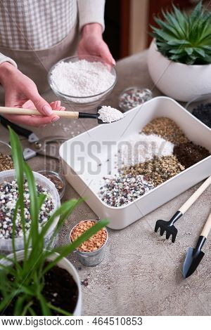 Soil Substrate Preparation For Transplanting Houseplants On Concrete Background