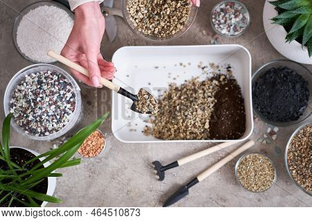 Soil Substrate Preparation For Transplanting Houseplants On Concrete Background