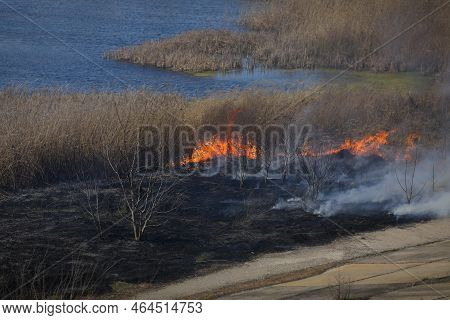 Bucharest, Romania - April 5, 2022: Wildfire Of Vegetation In The Vacaresti Park Nature Reserv