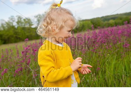 A Funny Girl In A Field With Pink Flowers. A Child In A Yellow Jacket Walks In The Evening In The Me