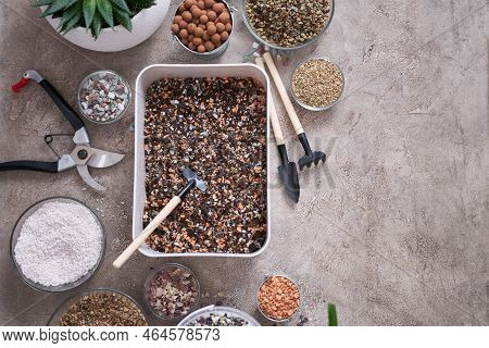 Plastic Box For Soil Substrate Preparation For Transplanting Houseplants On Concrete Background
