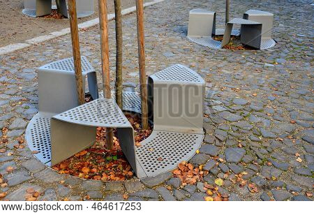 Bench Sitting With A Hole Around A Tree. Green Painted Metal Perforated Plate. Three Places Around T