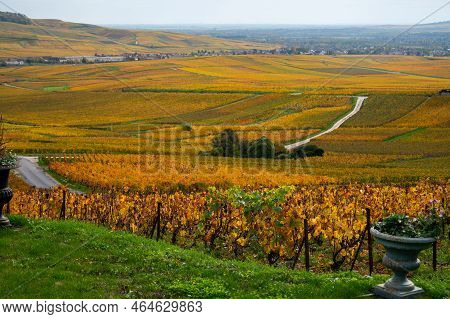 Panoramic Autuimn View On Champagne Vineyards In Village Hautvillers Near Epernay, Champange, France