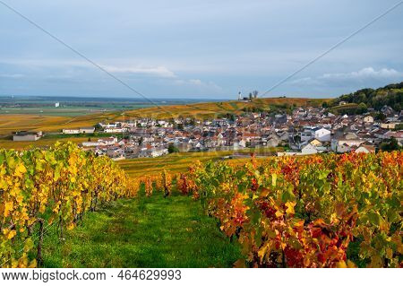 Autumn View On Colorful Grand Cru Champagne Vineyards Near Moulin De Verzenay, Pinot Noir Grape Plan