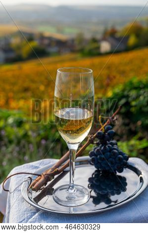 Tasting Of Premier Cru Sparkling White Wine With Bubbles Champagne On Outdoor Terrace With View On C