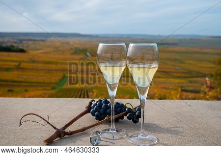 Tasting Of White Brut Champagne Wine Outdoor With View On Colorful Autumn Pinot Noir Grand Cru Viney
