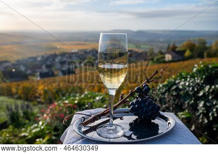 Tasting Of Premier Cru Sparkling White Wine With Bubbles Champagne On Outdoor Terrace With View On C