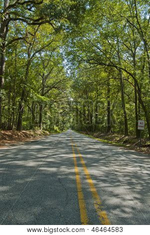 South Carolina motorvej