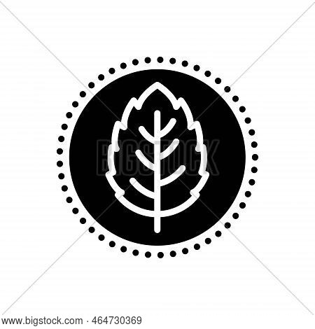 Black Solid Icon For Mint Peppermint Mentha Lamiaceae Leaf Cool Flavor Spearmint Green Aftertaste