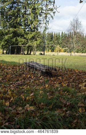 Wooden Branchon The Grass, Covered With Autumn Leavess. Vertical Frame. High Quality Photo