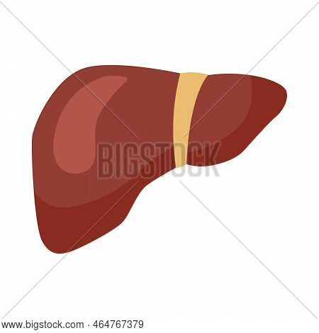 Vitamin B12-enriched Liver Cartoon Illustration. Organic Liver Containing Vitamin Isolated On White 