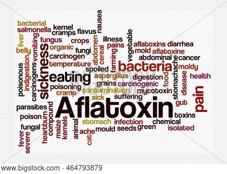 Word Cloud With Aflatoxin Concept, Isolated On A White Background.