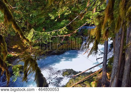 Sahalie Koosah Tamolitch Falls Hiking Trail On Mckenzie River, Williamette National Forest, Cascade 