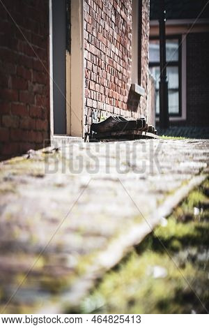 Details At Typical Dutch History Of Fishing Culture Around An Old Inner Lake Called 'zuiderzee' At S