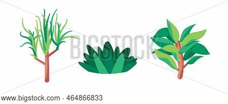 Plant Illustration In Green With Stemp And Foliage Leaf