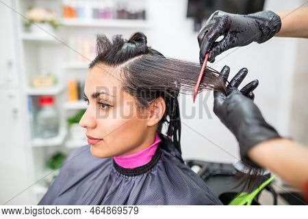 The Hairdresser Applies Professional Liquid Keratin To The Client's Hair. A Girl Does Keratin Hair S