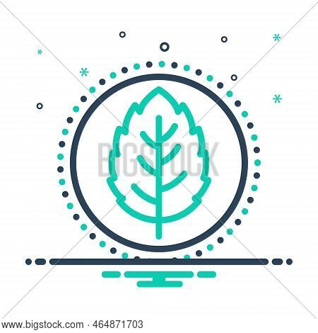 Mix Icon For Mint Peppermint Mentha Lamiaceae Leaf Cool Flavor Spearmint Green Aftertaste