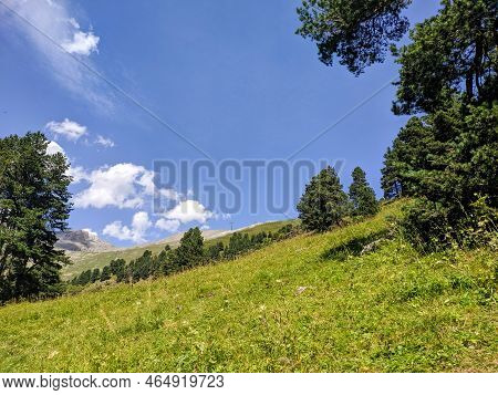Beautiful View Of The Caucasus Mountains, Green Meadows And Coniferous Forest In The Arkhyz Resort A