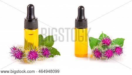 Burdock Oil In Glass Bottle And Burdock Flowers Isolated On White Background