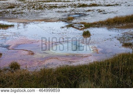 Hotspring Amidst Geothermal Landscape At Forest In Yellowstone National Park