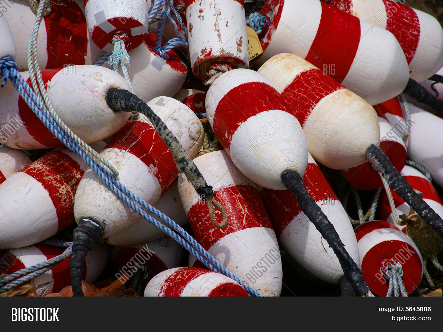 Red White Crab Floats Image & Photo (Free Trial) Bigstock