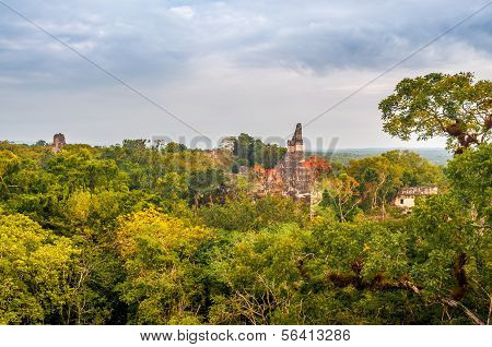 Temple In The Jungle