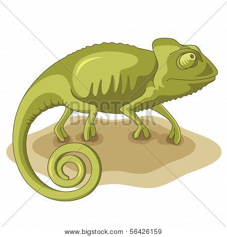 Chameleon
