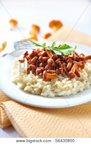 Risotto z Pieprznik jadalny