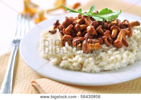 Risotto z Pieprznik jadalny
