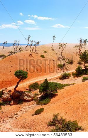Bryce Canyon