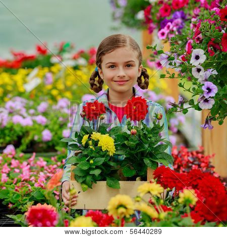 Garden center, planting - Lovely girl holding flowers in garden center.