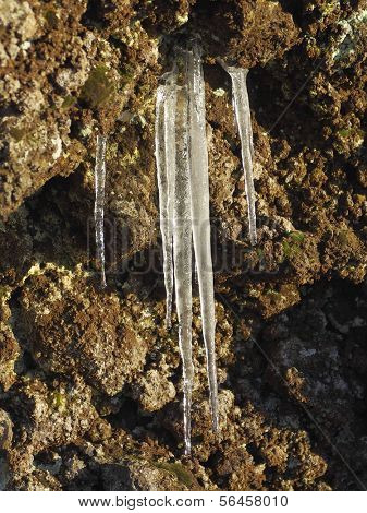 icicles and 