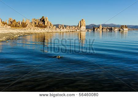 Mono Lake Tufa Formations At Sunrise