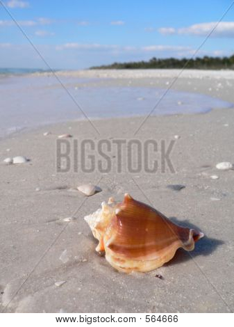 Beautiful Beach In Florida