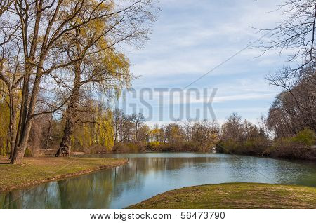 Spring In Park