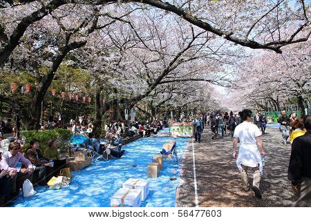 Ueno, Tokyo