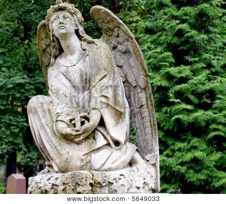 Een angel
