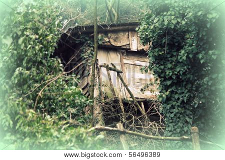 Old Wooden House In The Forest