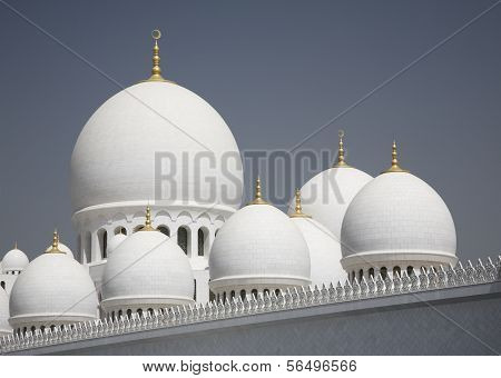 Abu-Dhabi Grand Moss white walls and domes