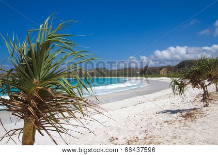 Perfect White Beach